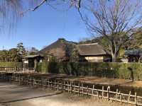 歴史も季節のうつろいも野鳥のくつろぎも感じられる とてもよい公園