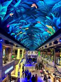 MSC Bellissima: Romance of the Open Sea