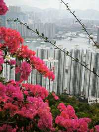 【石龍拱】有美麗山海相伴,是行山之好去處！