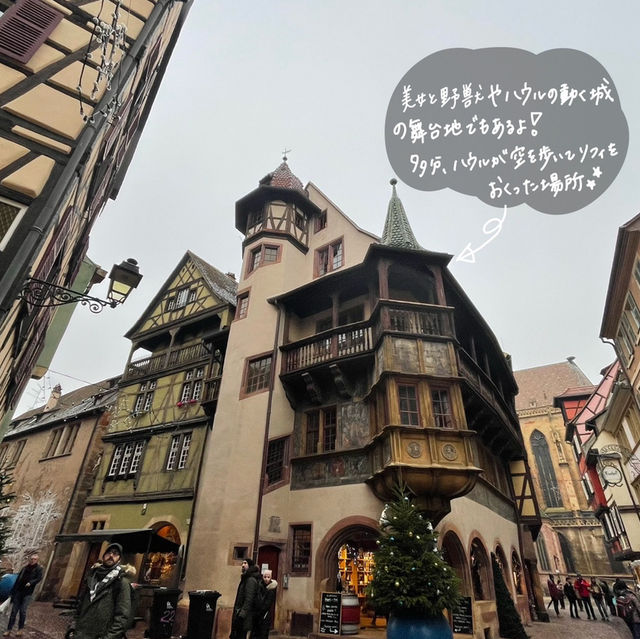 フランスで1番可愛い街のクリスマスマーケット🇫🇷