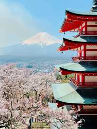 まるで日本の絵葉書✨新倉山浅間公園で絶景富士ビュー！