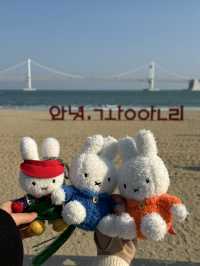 광안리의 봄, 바다와 벚꽃이 어우러진 낭만 가득한 시간 🌸🌊