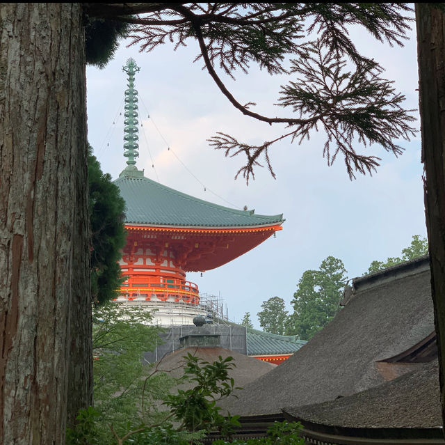 天叟禪寺～心之靜謐