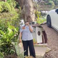 𝐌𝐎𝐆𝐀 𝐜𝐨𝐟𝐟𝐞𝐞 โมกะ ราชบุรี