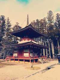 A Soulful Day Trip to Koyasan: A Journey Back to Peace 🧘‍♀️🌿