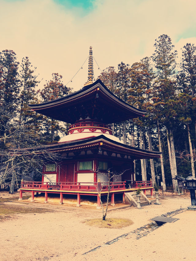 A Soulful Day Trip to Koyasan: A Journey Back to Peace 🧘‍♀️🌿