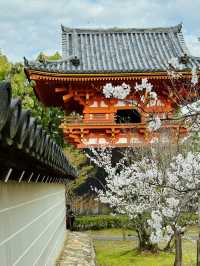 心がふわりとほどける時間。任和寺で出会うバイオリンと仏の響き