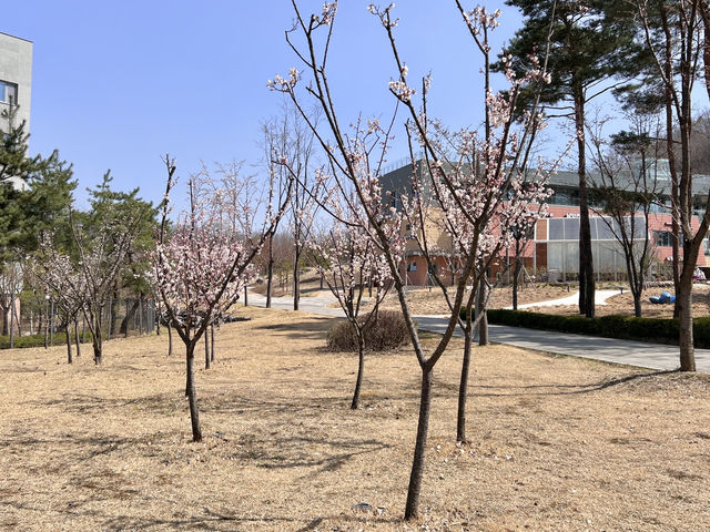 다산중앙공원