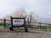 四國賞櫻之旅：紫雲出山頂展望台