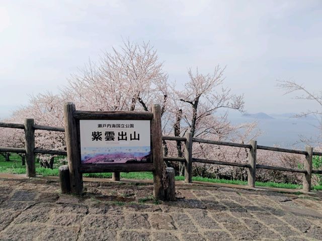 四國賞櫻之旅：紫雲出山頂展望台