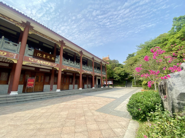 感受大自然的魅力⛰️✨鳳凰山森林公園🧗 