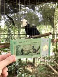 コタキナバルの動物園
