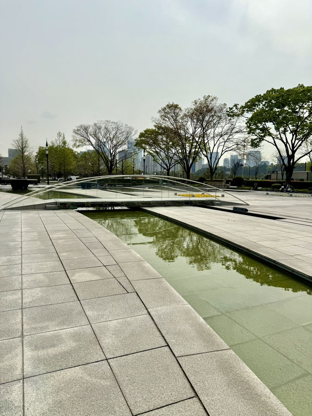 Spring Serenity at Wadakura Fountain Park🦢