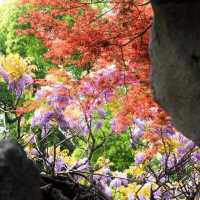 Breathtaking Suzhou Garden