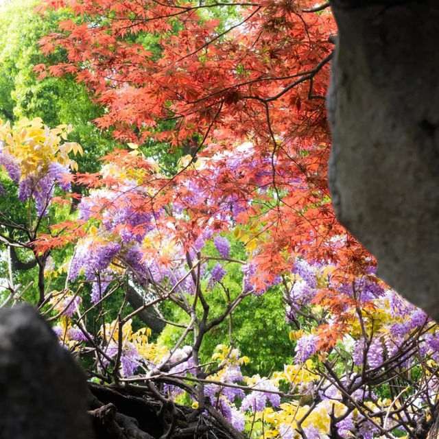 Breathtaking Suzhou Garden