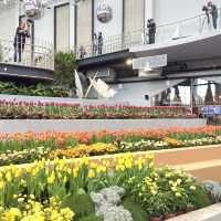 1 Day Trip ระยอง ดูสวนดอกไม้