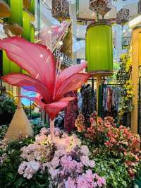 Raya Runway: Where Culture Meets Couture