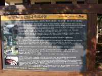 천제연폭포