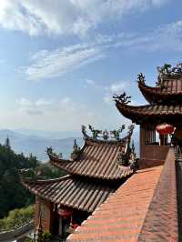 The Living Mountain: A Pilgrimage Through Qingshuiyan's Ecological Sanctuary