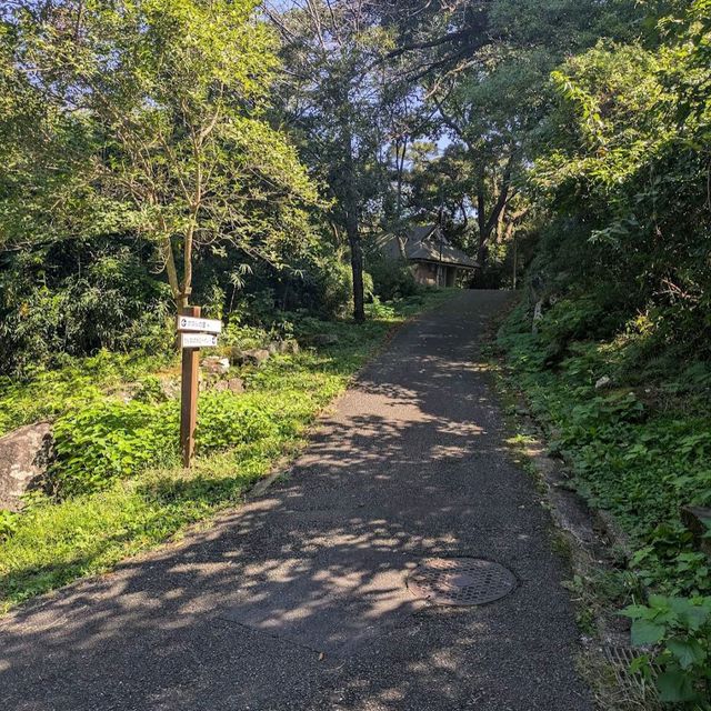 Kinugasayama Park, Yokosuka
