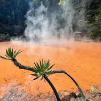 Beppu – Hot Spring Paradise 