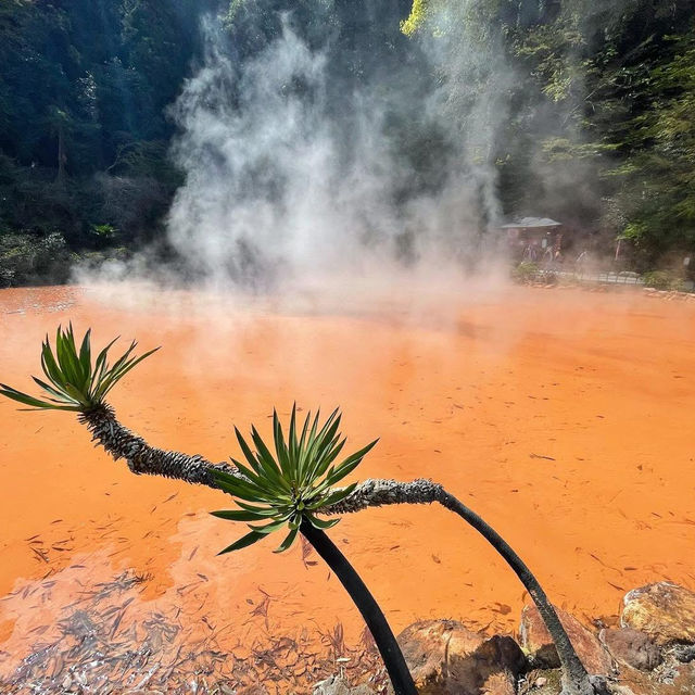 Beppu – Hot Spring Paradise 