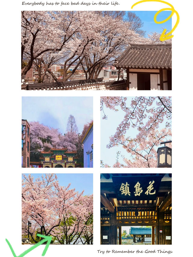 Hwadojin Park: A Riverside Retreat Blooming in Spring 🌸🌊🚶‍♀️