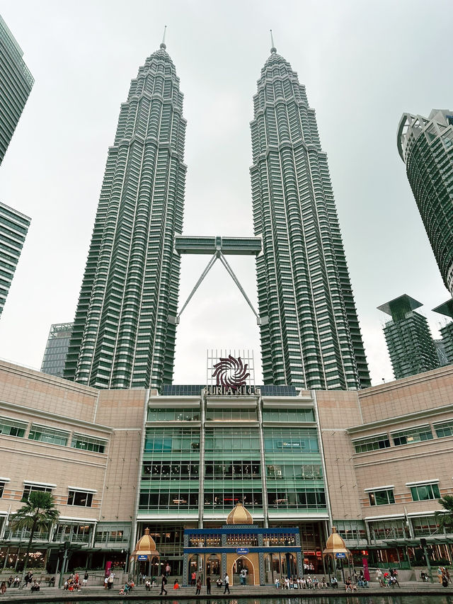 A Majestic Raya Beneath the Twin Towers