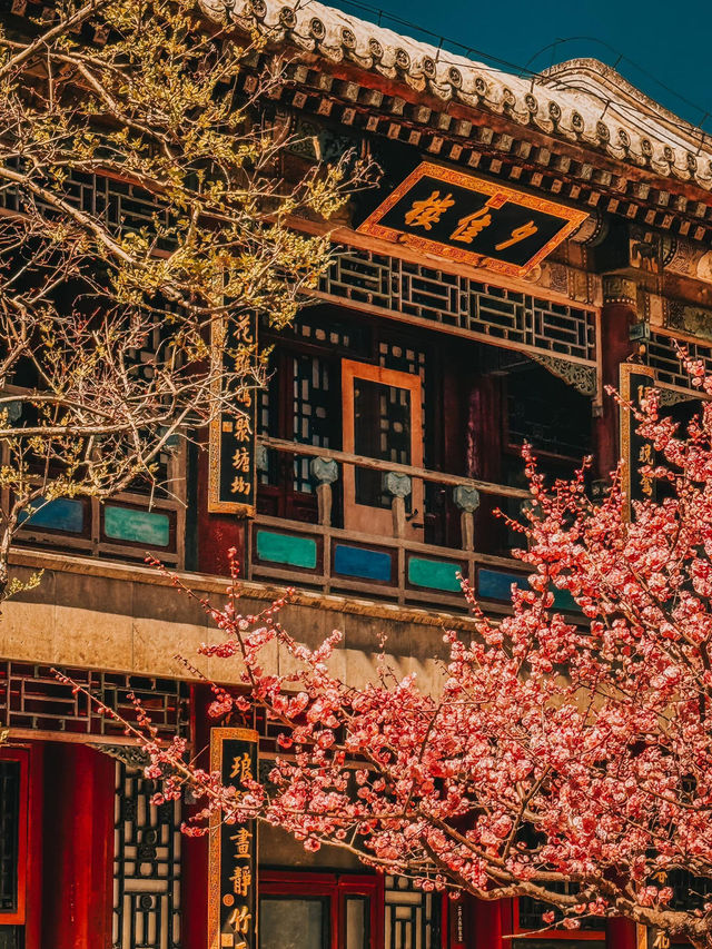 Wandering Through Imperial Dreams: A Journey into Beijing’s Summer Palace