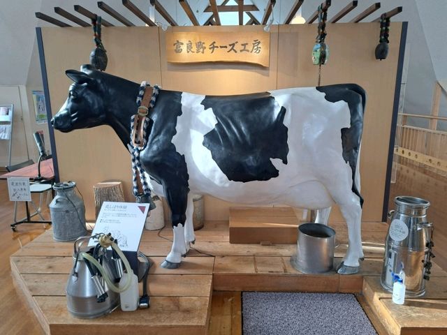 北海道旅遊🥳富良野起司工房😍品嚐出產最馳名的起司牛奶奶油類食品🧀