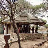 Tarangire 國家公園入口｜壯闊草原探險的起點