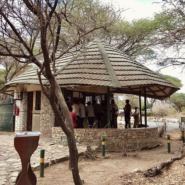 Tarangire 國家公園入口｜壯闊草原探險的起點