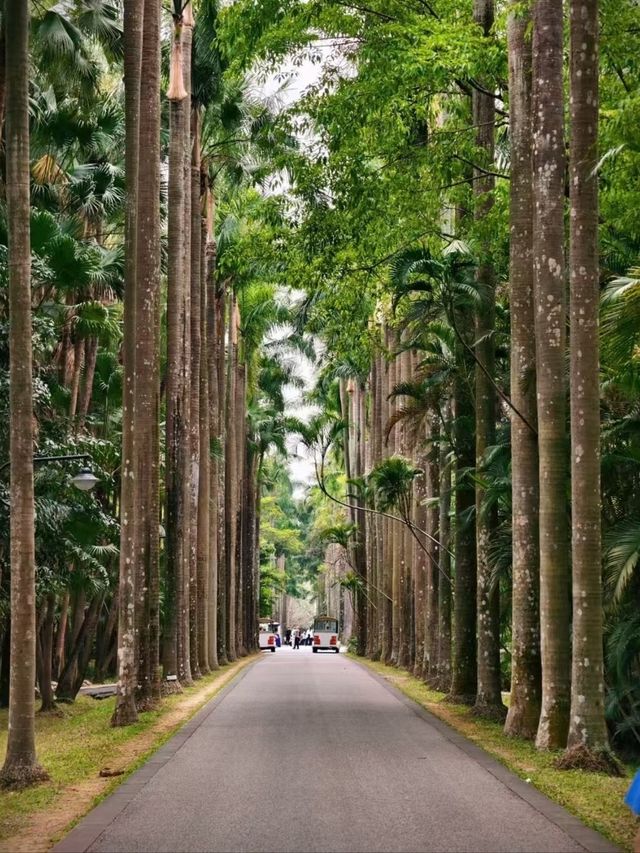 South China Botanical Garden– Guangzhou’s Lush Green Sanctuary