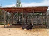 Batam Zoo Paradise