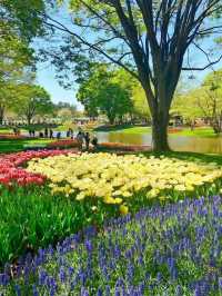 進入了童話世界般的絶世公園