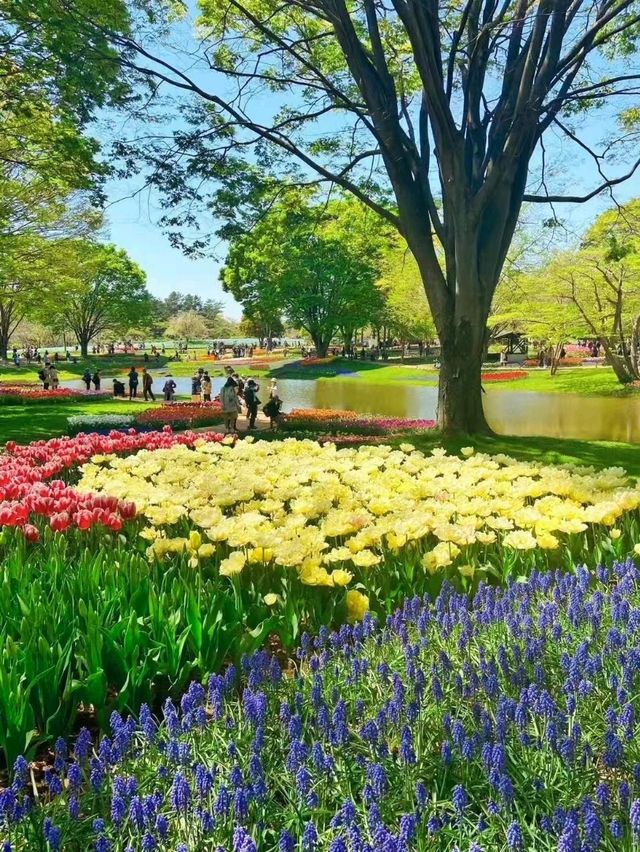 進入了童話世界般的絶世公園
