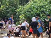 ชมผีเสื้อนานาชนิด ที่ แคมป์บ้านกร่าง แก่งกระจาน