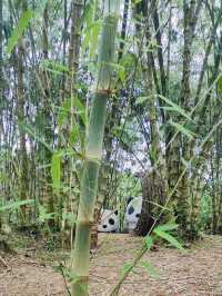 Bamboo-Themed Attraction ◄Putuo Village✨Purple Bamboo Valley► [KULAI@JOHOR]