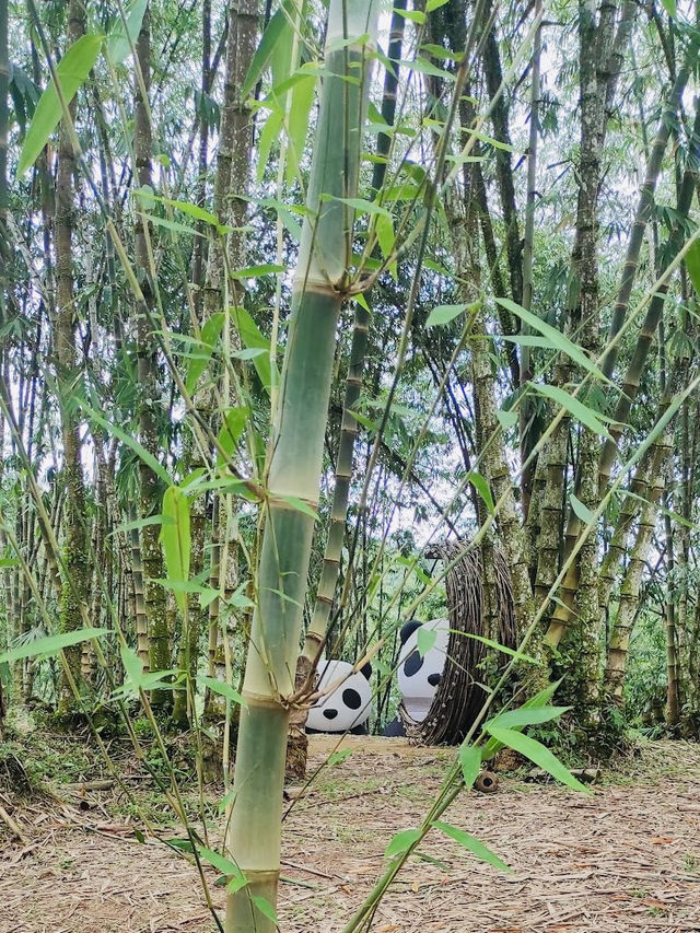Bamboo-Themed Attraction ◄Putuo Village✨Purple Bamboo Valley► [KULAI@JOHOR]