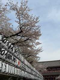 東京｜淺草寺歷史與文化一日遊