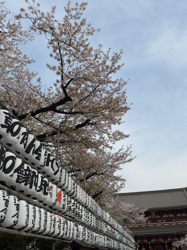 東京｜淺草寺歷史與文化一日遊