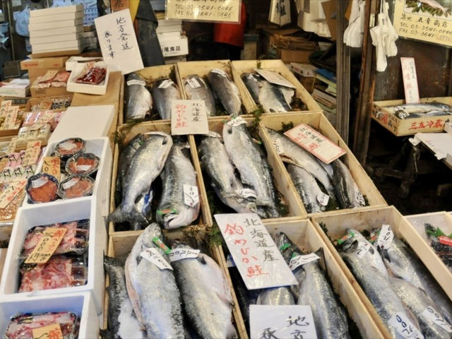 遷移到豐州的築地市場還值得去嗎？