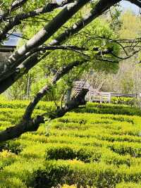 A Nordic Escape in Yangpyeong 