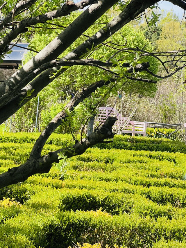 A Nordic Escape in Yangpyeong 