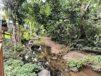 🦧 Tabin Wildlife Reserve: Where the Wild Things *Really* Are! 🌿