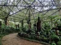 Kinabalu’s Secret Garden: Where Flowers Are Louder Than Tourists!"🌸🌿