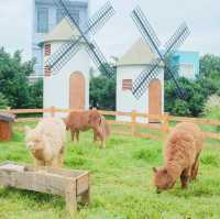 Dalat In the heart of District 7