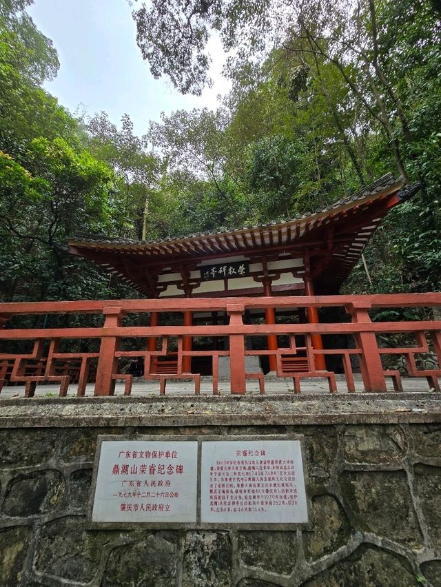 🌿 肇慶鼎湖山：綠色逃亡秘境！🌄