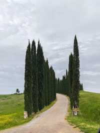 สัมผัสทุ่งหญ้าเขียวที่ ทัสคานี (Tuscany)
