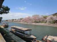 🚣♂️🌿 Hozugawa River Boat Ride: Kyoto’s Wildest (and Chillest) Adventure! 🌿🚣♂️